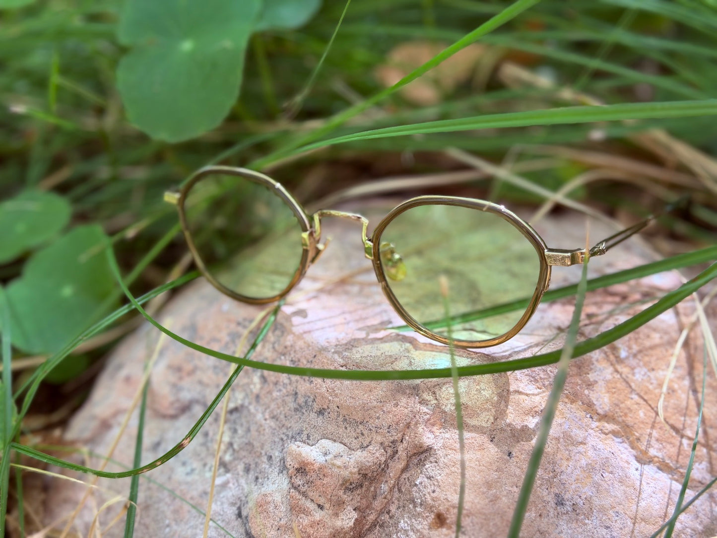 MOSS LENS SUNGLASSES